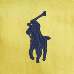 Coastal Yellow