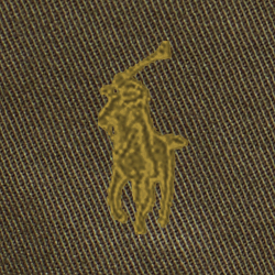 Canopy Olive