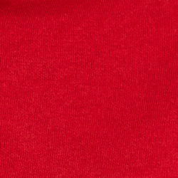 Red Polo Sport