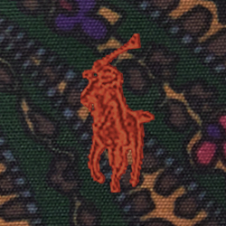 Paisley Print