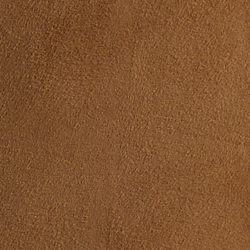 Dark Camel
