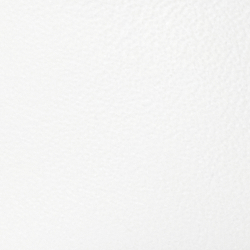 White Leather