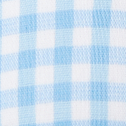 Light Blue Gingham