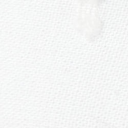 White Swiss Dot Textile