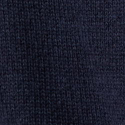 Light Indigo