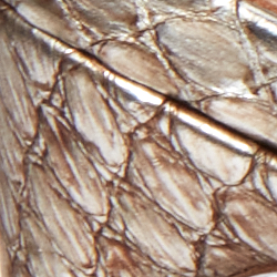 Antique Silver