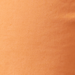 Classic Orange