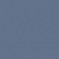 Shnyblack/Trans Light Blu