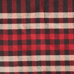 Red Plaid Multi