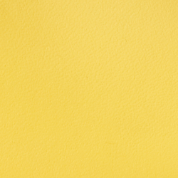 Yellow Fin/Bear