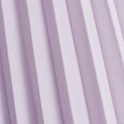 Spring Iris