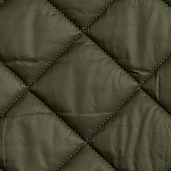 Expedition Olive
