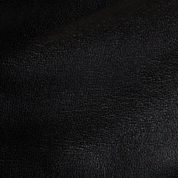 Polo Black