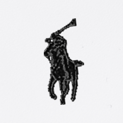 White/Black Polo