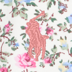 Morgan Floral