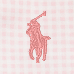 Carmel Pink Gingham
