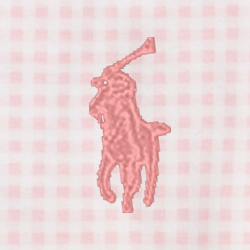Carmel Pink Gingham