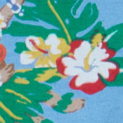 Bear-waiian Print