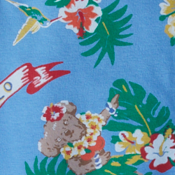 Bear-waiian Print