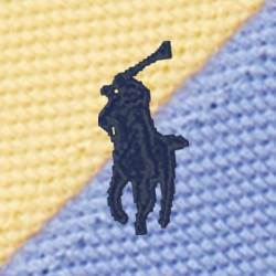 Corn Yellow Multi