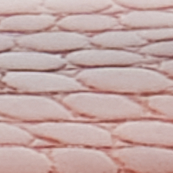 Tan Faux Croc