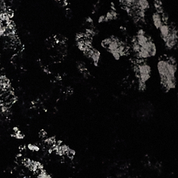 Opulent Black