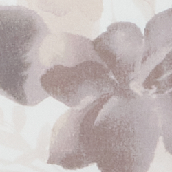 Cream/Grey