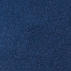 Polo Navy
