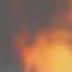 &Eacute;caille Jerry brillant