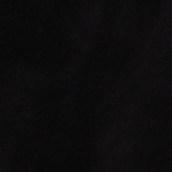 Polo Black