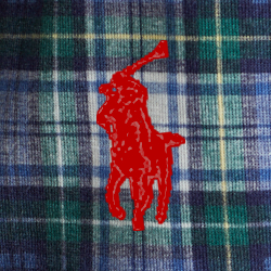 Gordan Madras Print