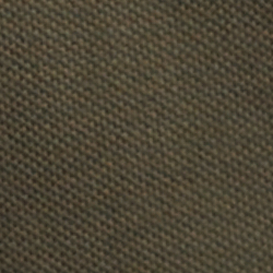 Armadillo Heritage Bear