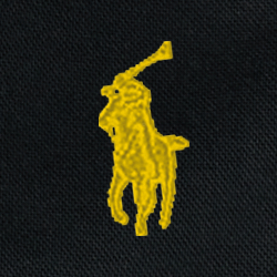 Polo Black Multi