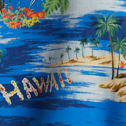 Ski-waiian