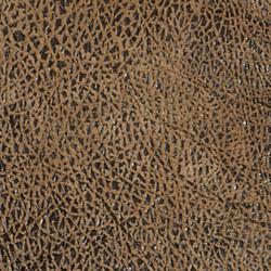 Brown Earth