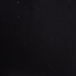 Polo Black