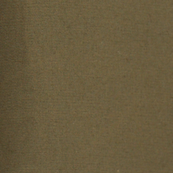 Canopy Olive