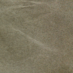 Canopy Olive