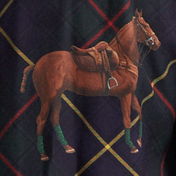 Martingale Toss