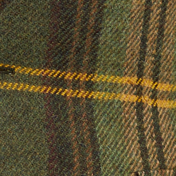 Olive Multi