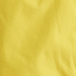 Racing Yellow