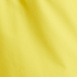 Racing Yellow
