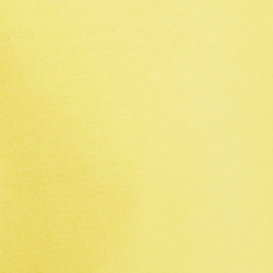 Racing Yellow