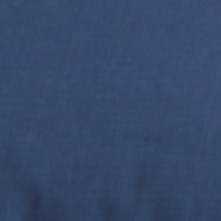 Raleigh Blue