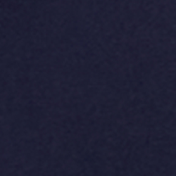 Refined Navy