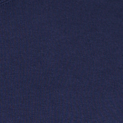 Cruise Navy Denim Bear