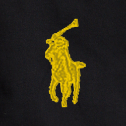 Polo Black
