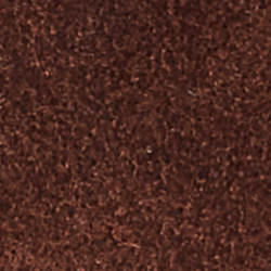 Circuit Brown