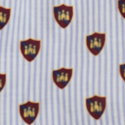 Pins Stripe Crest Print