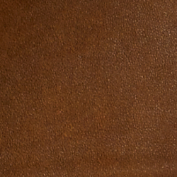 Medium Brown